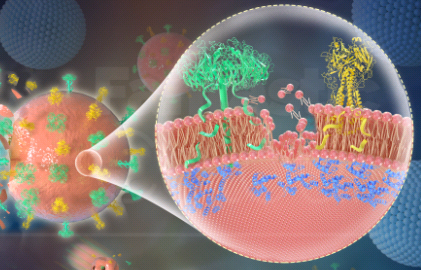 實(shí)驗(yàn)相關(guān)